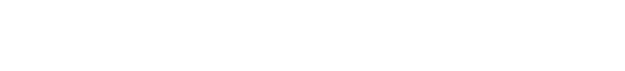 Benchmark Management Logo